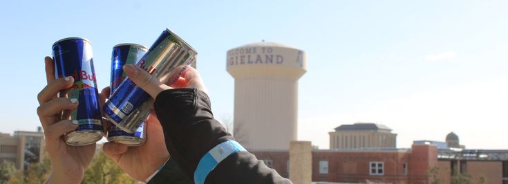 College Station North Gate - 2